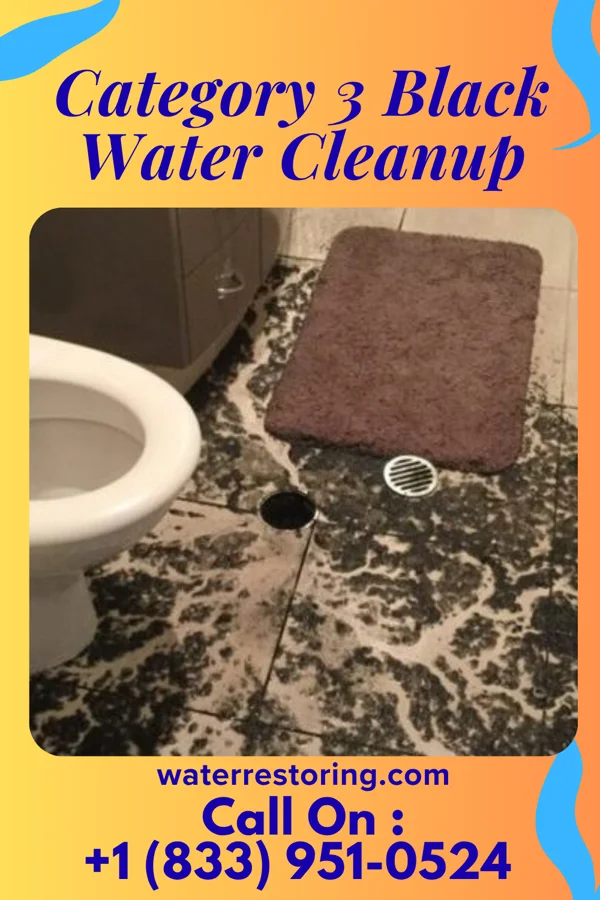 Category 3 Black Water Cleanup in Garland, TN