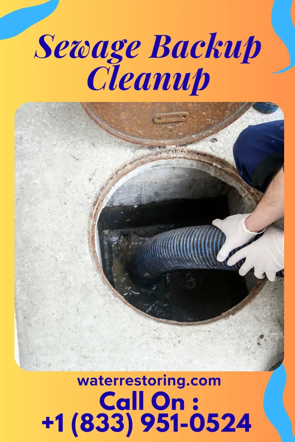 Sewage Backup Cleanup in Garland, TN