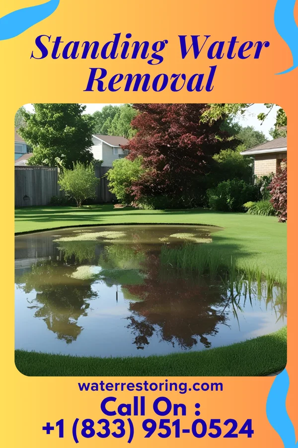 Standing Water Removal in Garland, TN